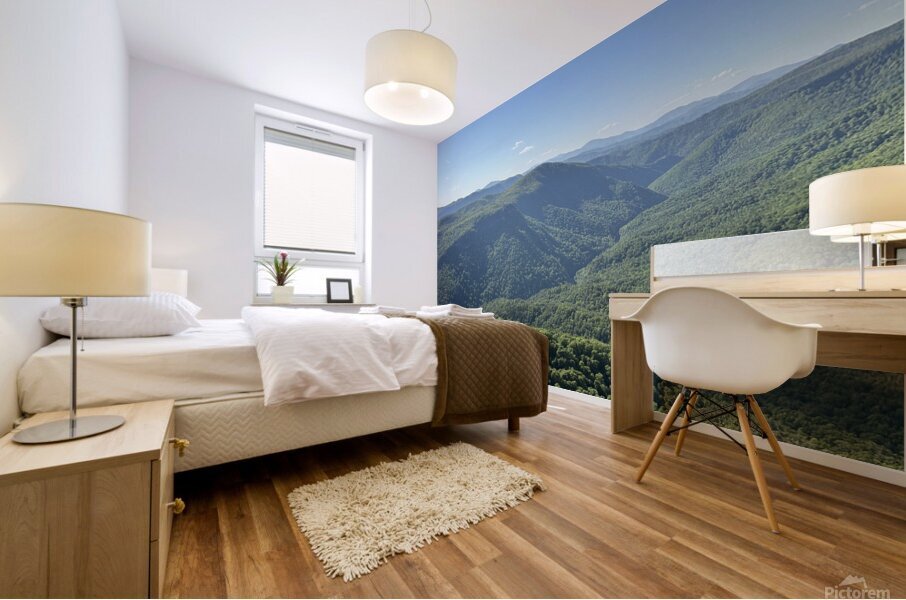 IMG 3781 Mural print