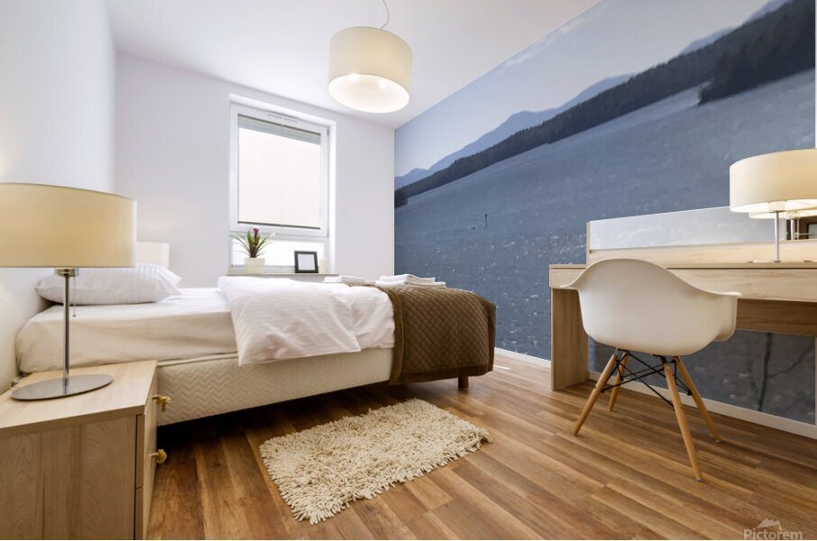 IMG 0767 Mural print