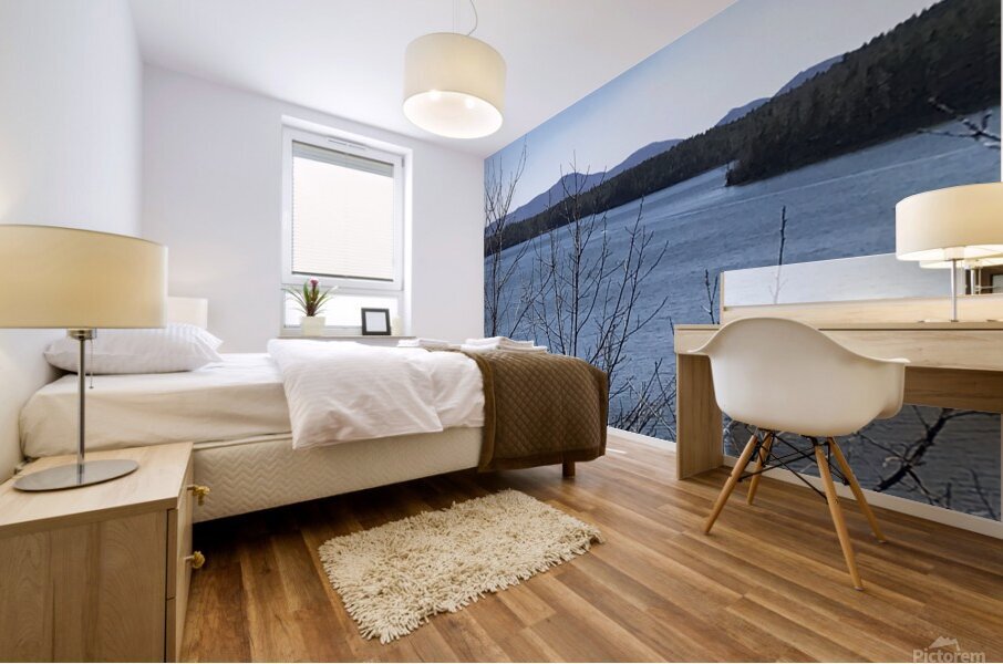 IMG 0110 Mural print