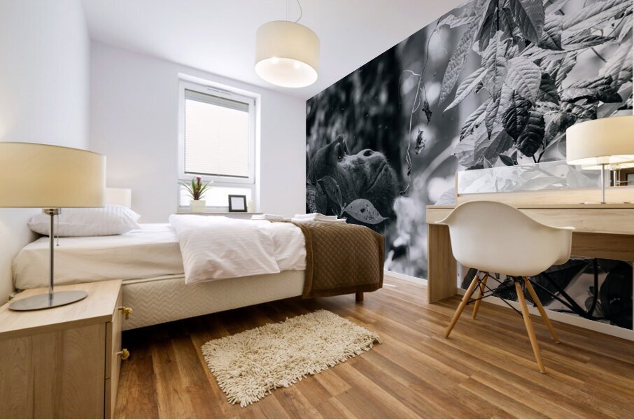 Lookin to the Sky B&W Mural print