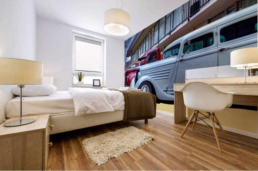 THE LINE UP Mural print