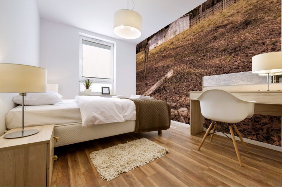 North Carolina Tobacco Barn in Winter Mural print