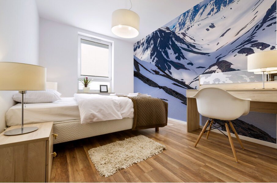 Exit Glacier Hike Mural print