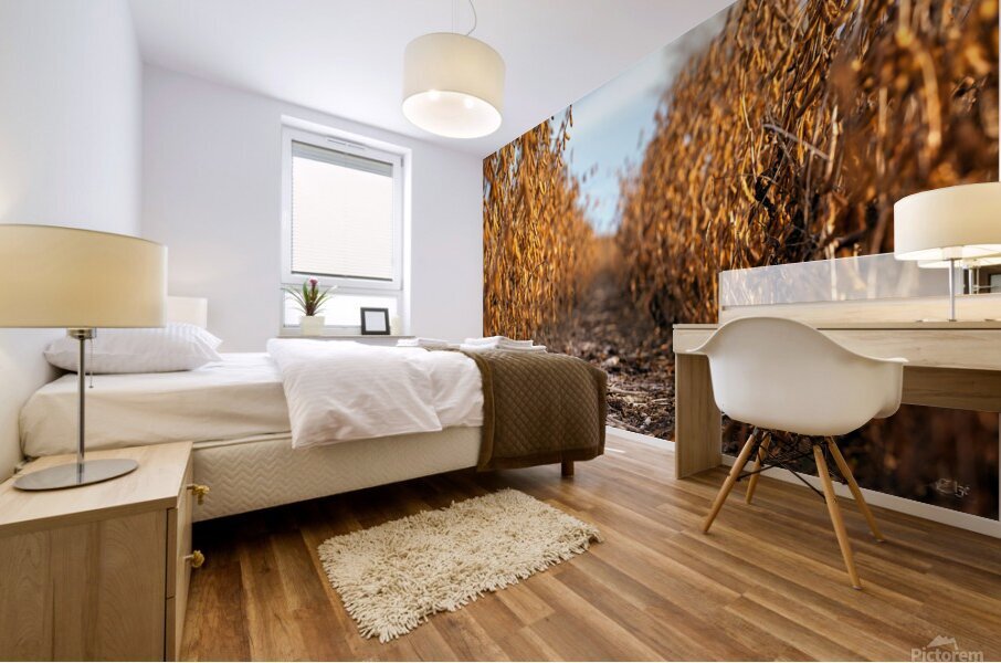 Solitude seche Mural print