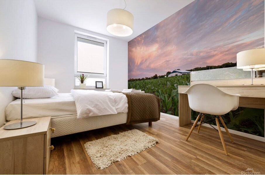 Sunshine blues Mural print