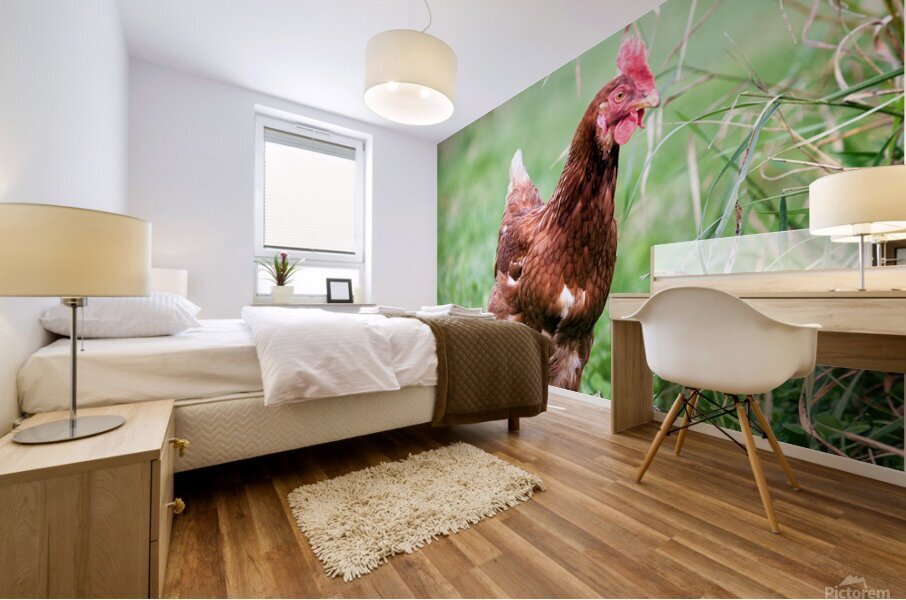 Criquette Mural print