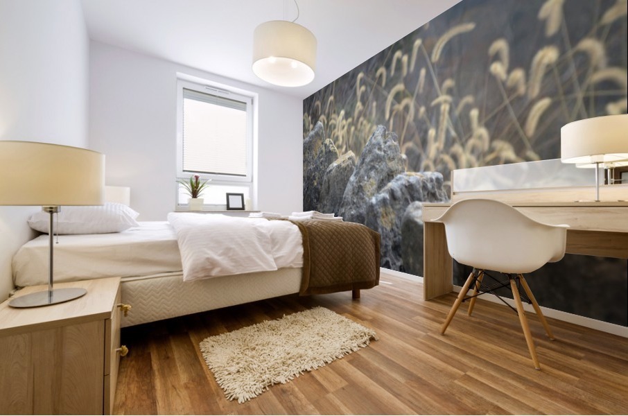 Rock Wall Mural print