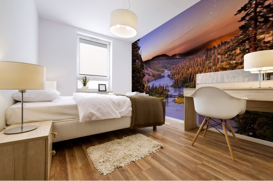 Twin Magic Mural print