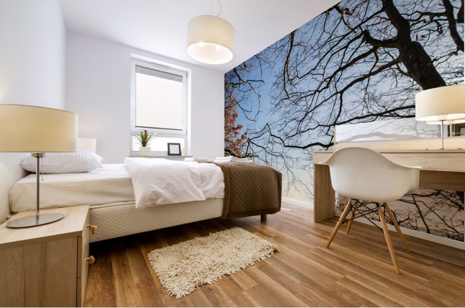 View from the forest onto serene meadow and dusk  Mural print