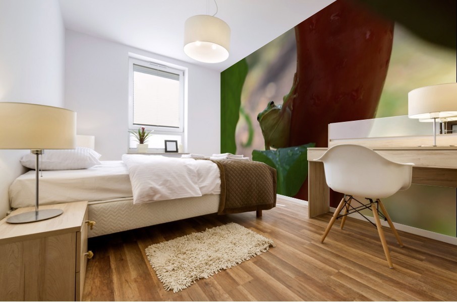Peeping Frog Mural print