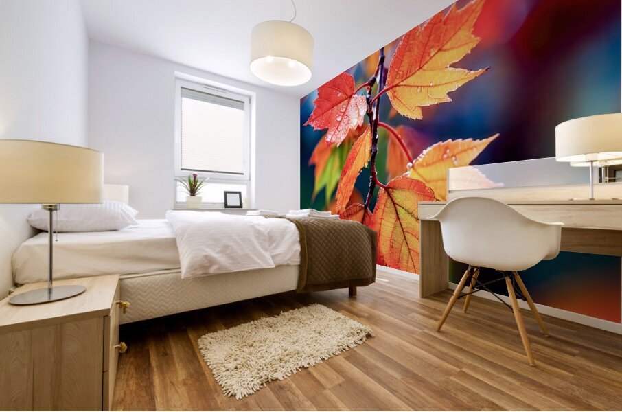 Wet Maple Leaves Mural print