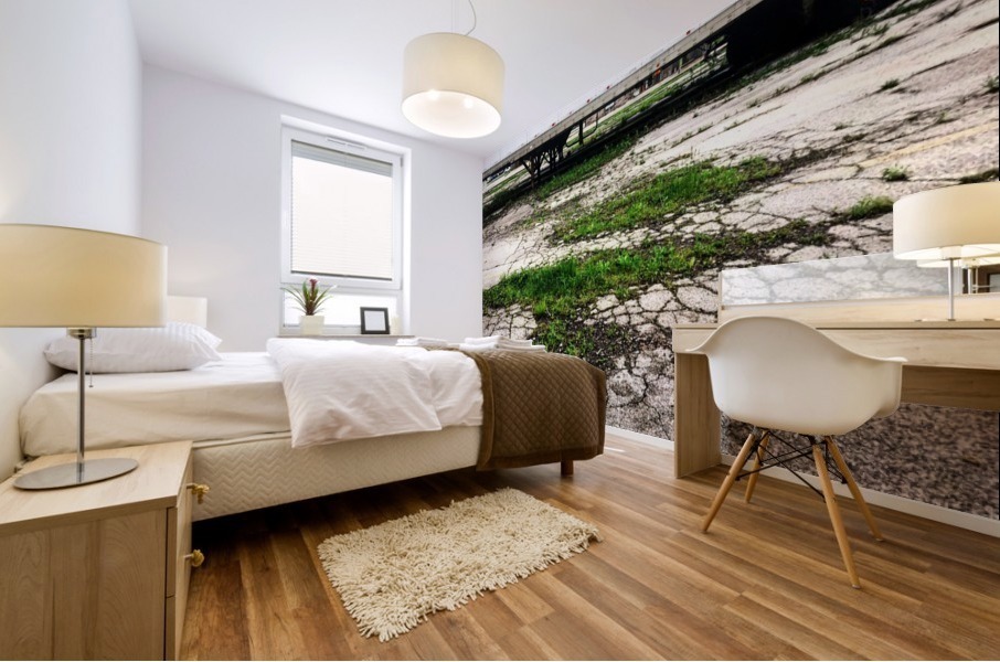 48682091836_f83981afe6_o Mural print