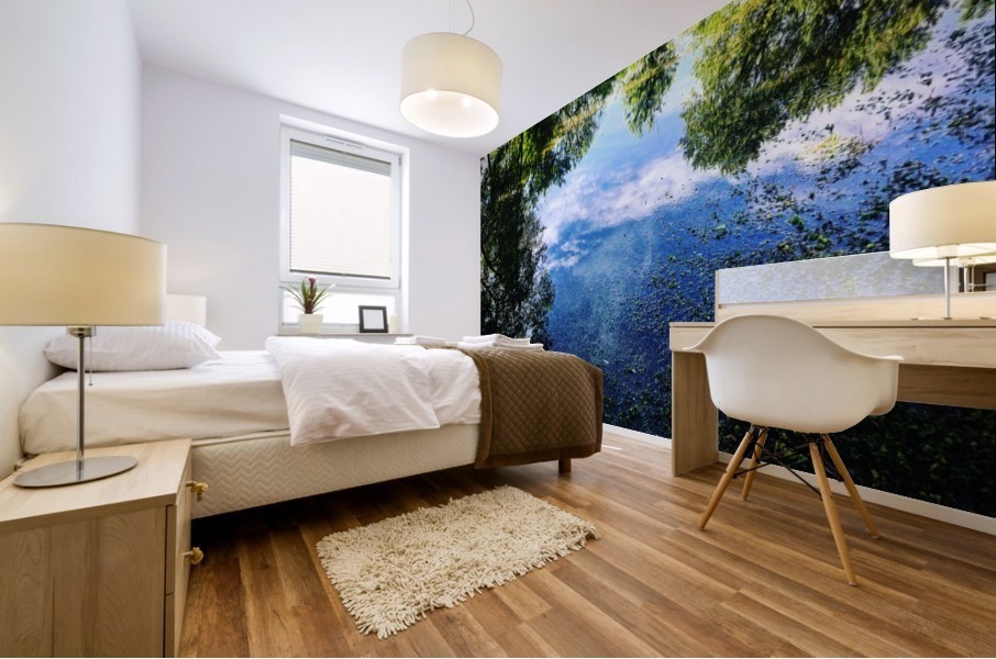 48681753948_12afc046a0_o Mural print