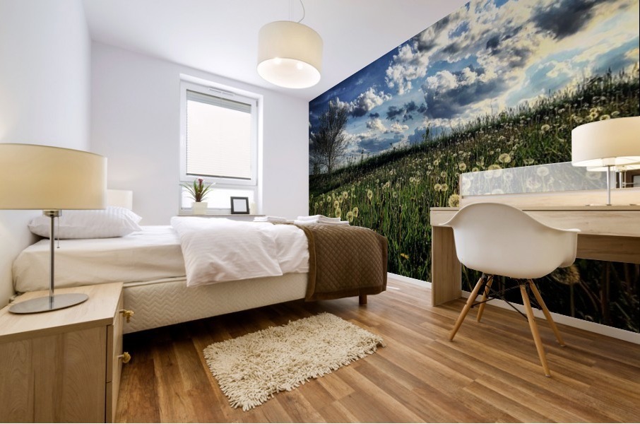 48682266352_1b4896edd5_o Mural print