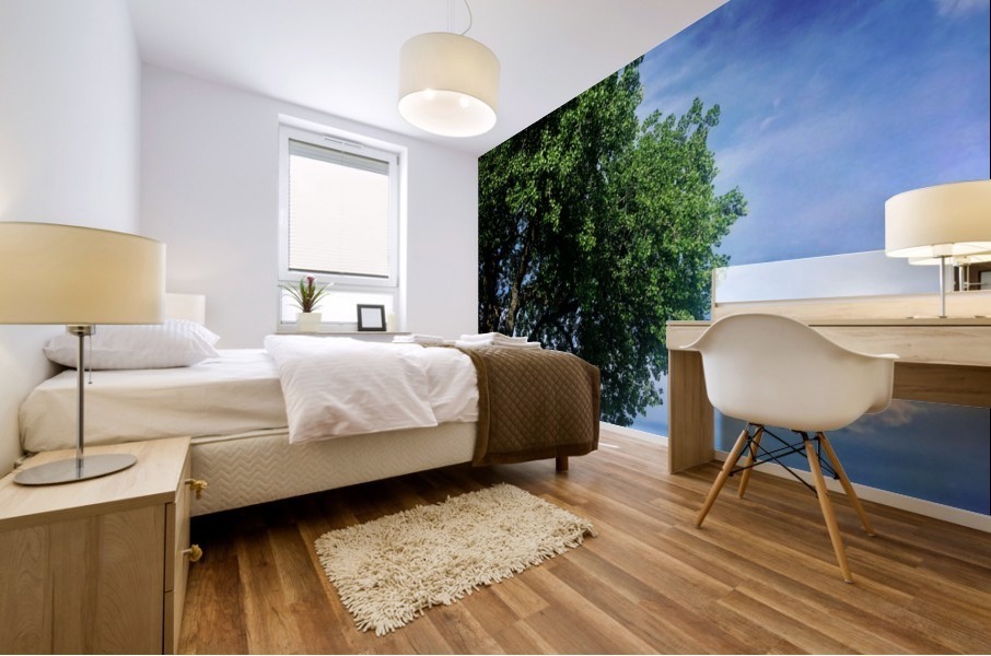 48681752873_fe8571dba2_o Mural print