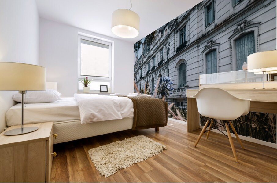 Bueno Aires 1 Mural print