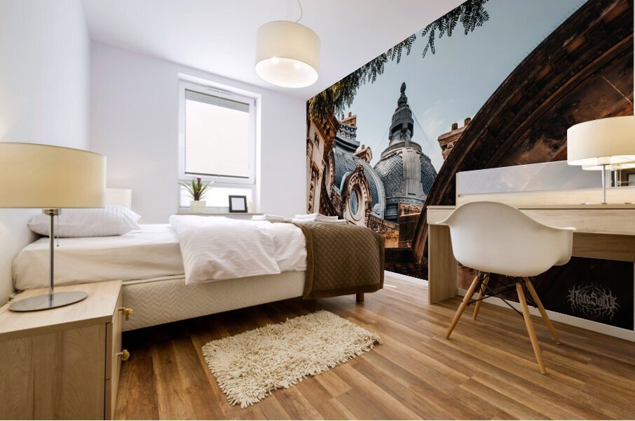 Buenos Aires European AF Mural print