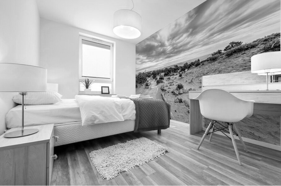 Mesa Arch Hiking Trail Grayscale Mural print