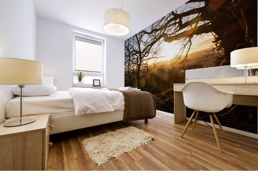 Setting sun shining through the branches of a beautiful old tree in front of countryside  Mural print