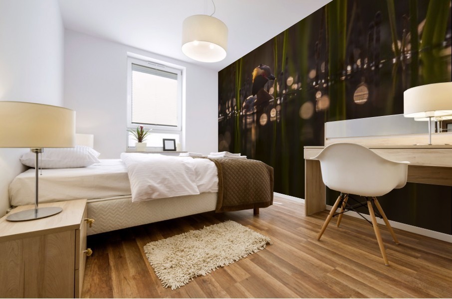 DSC_1987 Mural print