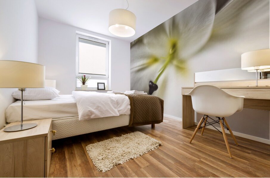 044A1377 Mural print