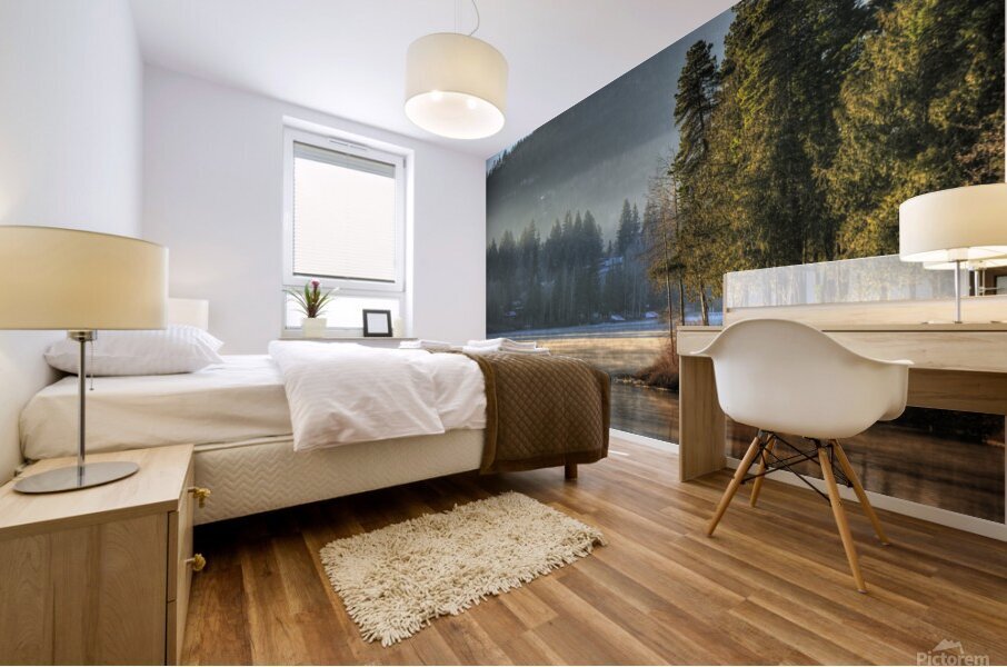 Shawnigan Lake BC Mural print