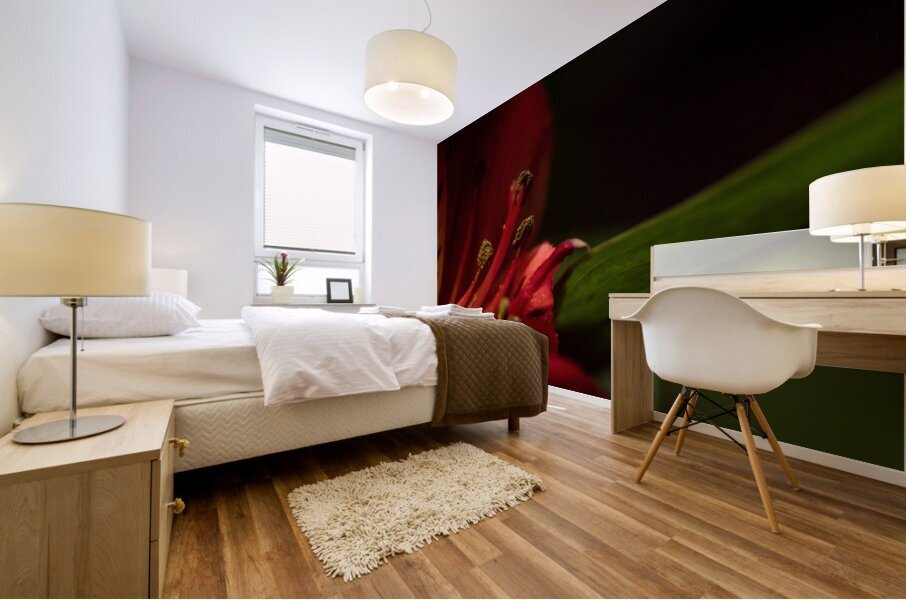 044A3377 Mural print