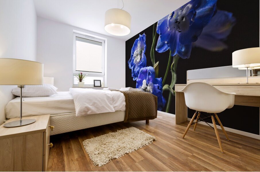 044A3439 Mural print