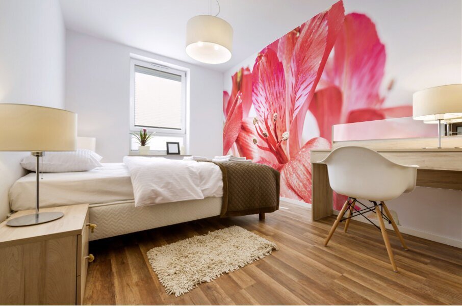 044A3497 Mural print
