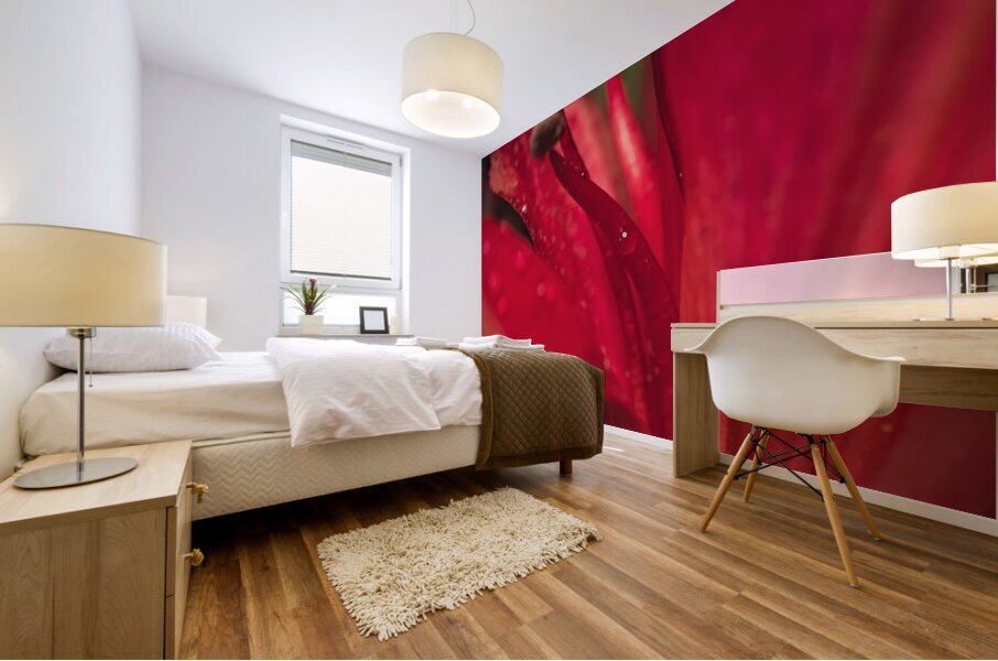 044A3394 Mural print