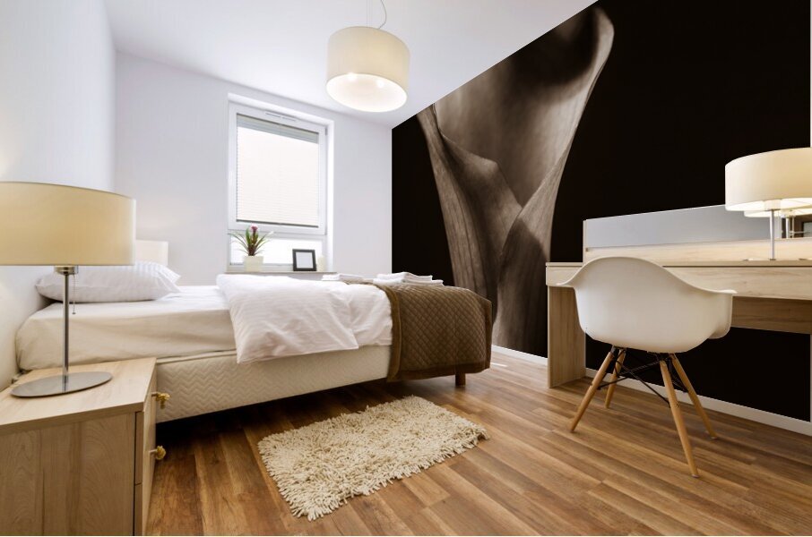 044A3788 Mural print