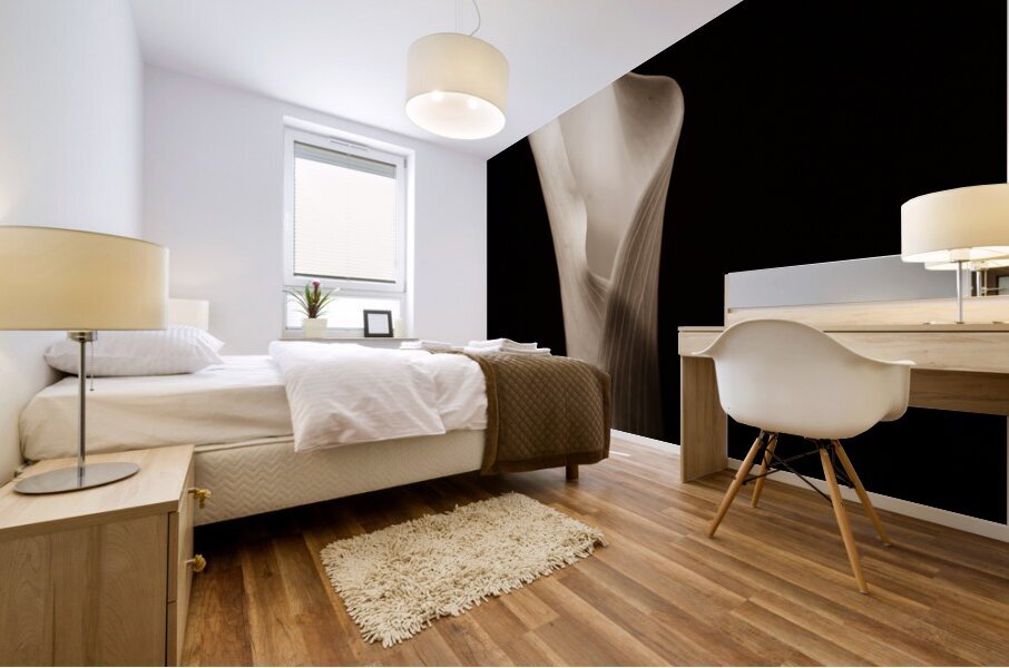 044A3831 Mural print