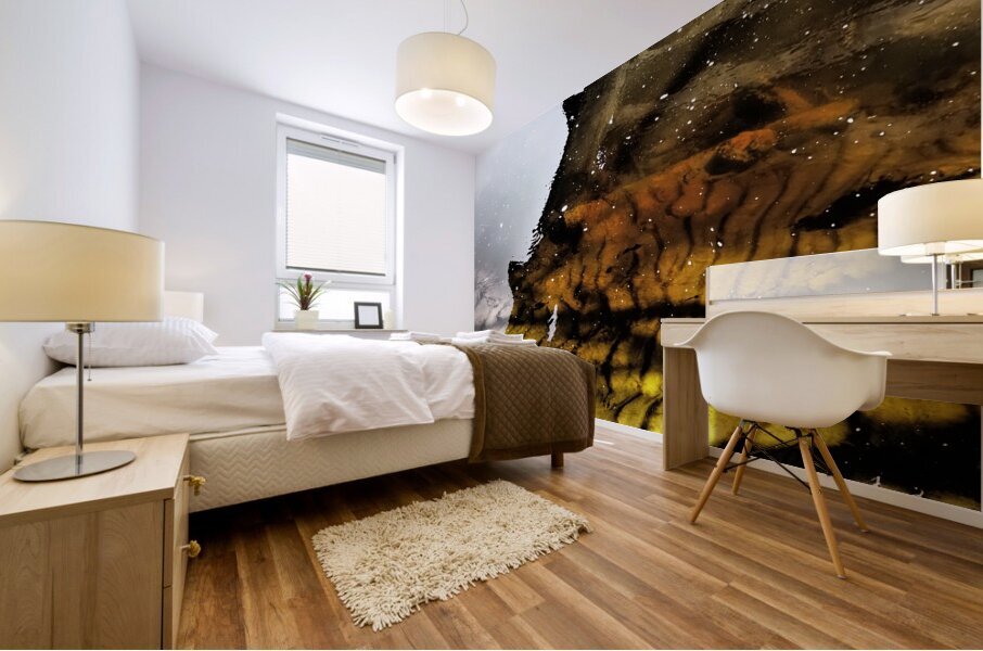   Abstract Mesmerizing Ripples                                                                                                          Mural print