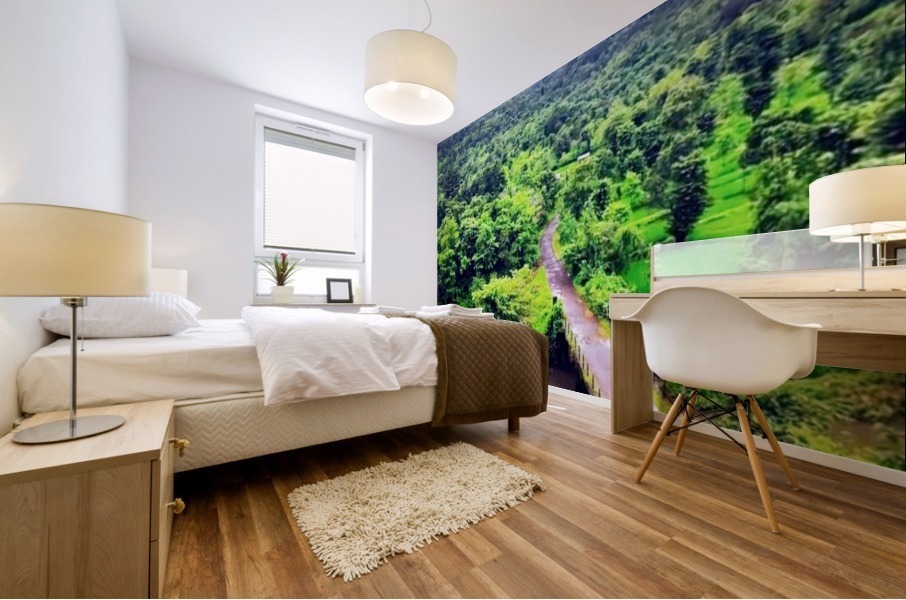 IMG_15715733999098216 4096 Mural print