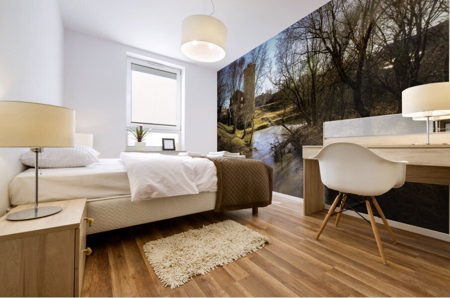 Farmville Grain Mill on the Appomattox River Mural print