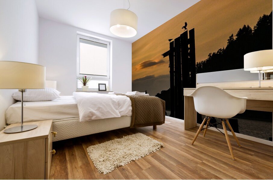 Z72 5951 Mural print