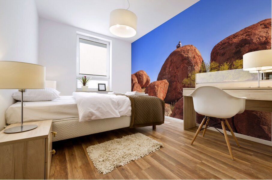 Devils Marbles and Man in a Hat Mural print