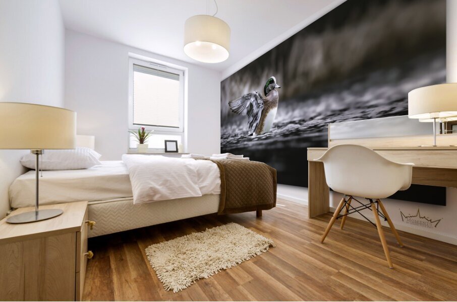 Winging Wigeon Mural print