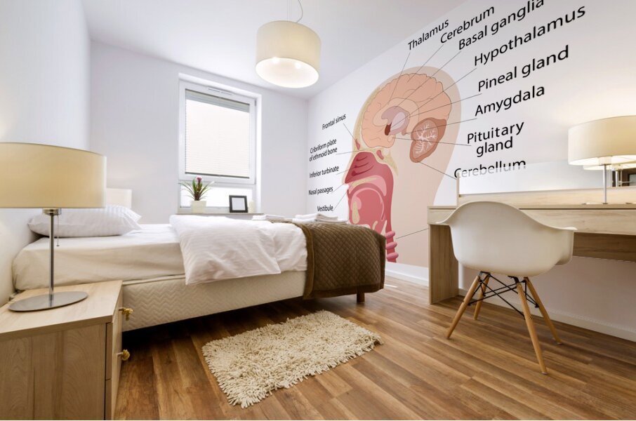 Anatomy of human brain and noise Mural print