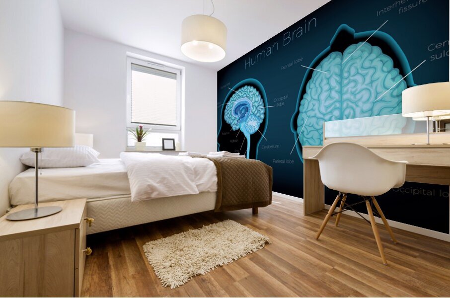 Human Brain Mural print