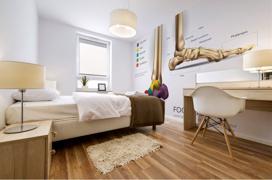 Foot Bone Mural print