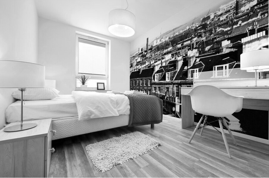  Alternative Edinburgh Rooftops                                                                                                                   Mural print