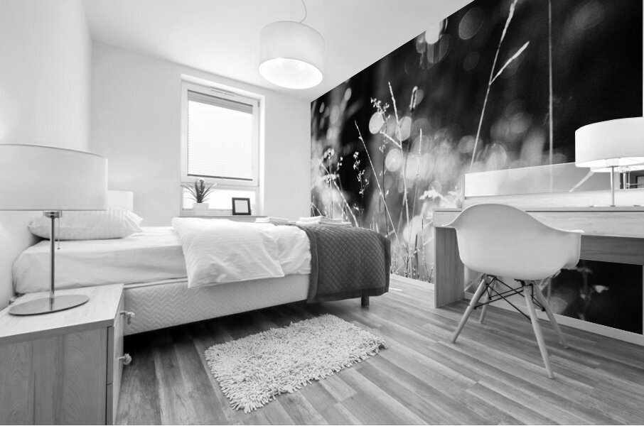  Black and White Nature Bokeh                                                                                                                   Mural print