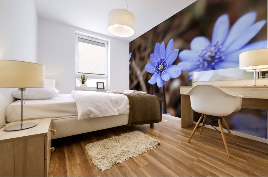 Edinburghs Blue Surprise                                                                                                                      Mural print