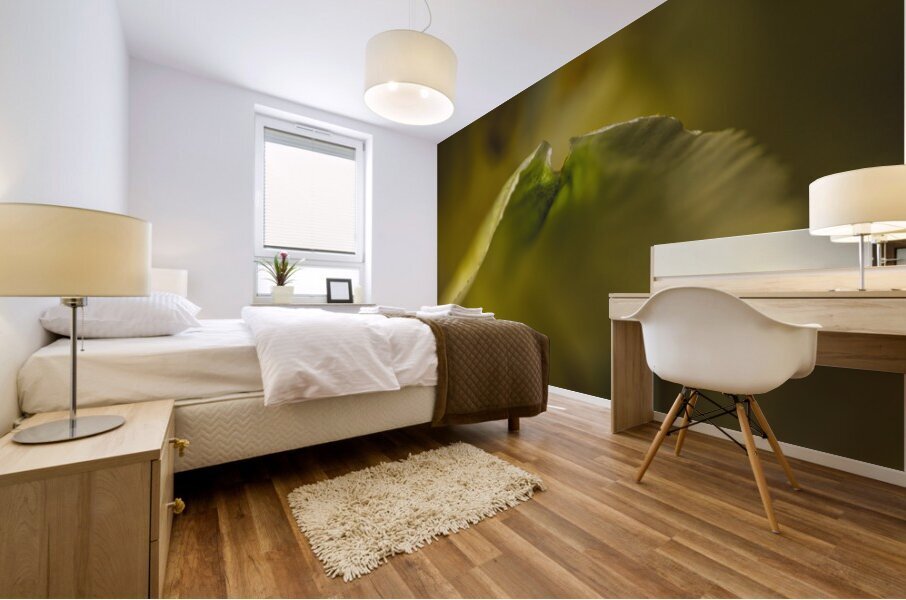 044A4142 Mural print