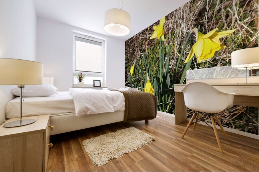  Springs Call for the Scottish Highlands                                                                                                                     Mural print