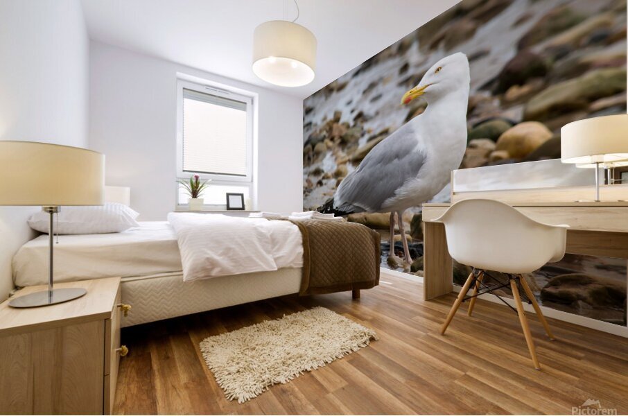 Seagull Pose Mural print