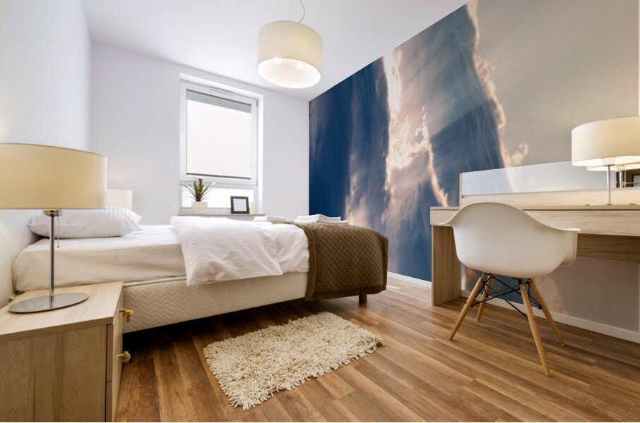 Radiation Mural print