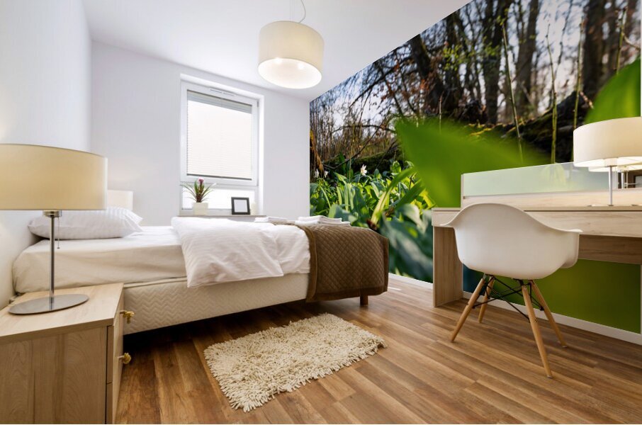 Closeup shot of wild garlic and thimbleweed in the beautiful forest in early spring at sunset Mural print