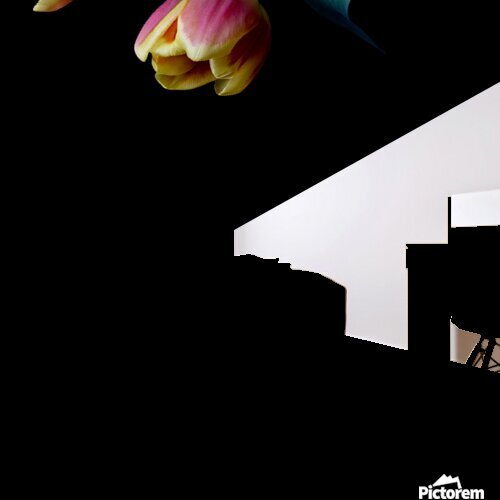 Three Tulips Mural print